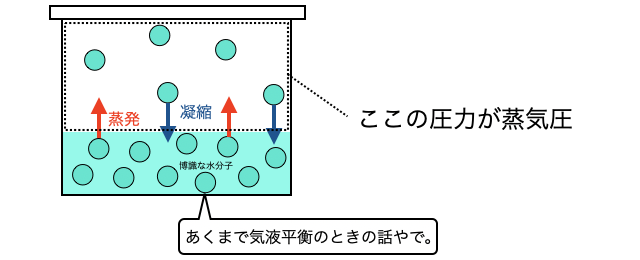 蒸気圧_1.png