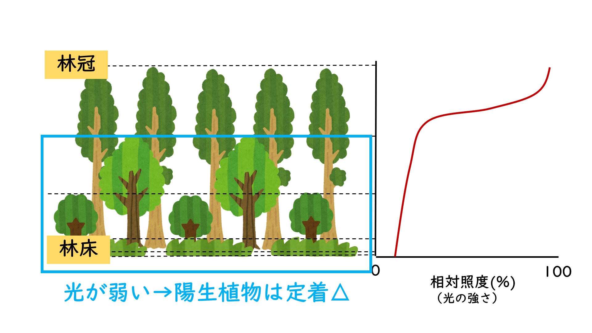 スクリーンショット (57).png