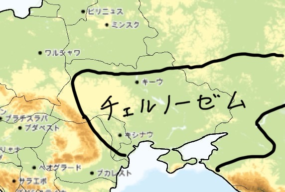 20250125_083727000_iOS 2.jpg