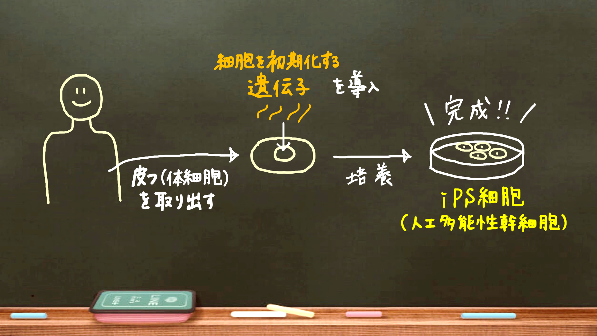 スクリーンショット 440.png