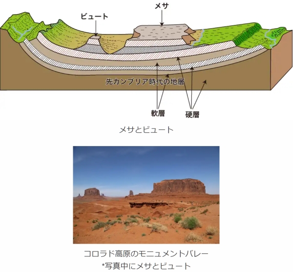 メサ　ビュート.jpg