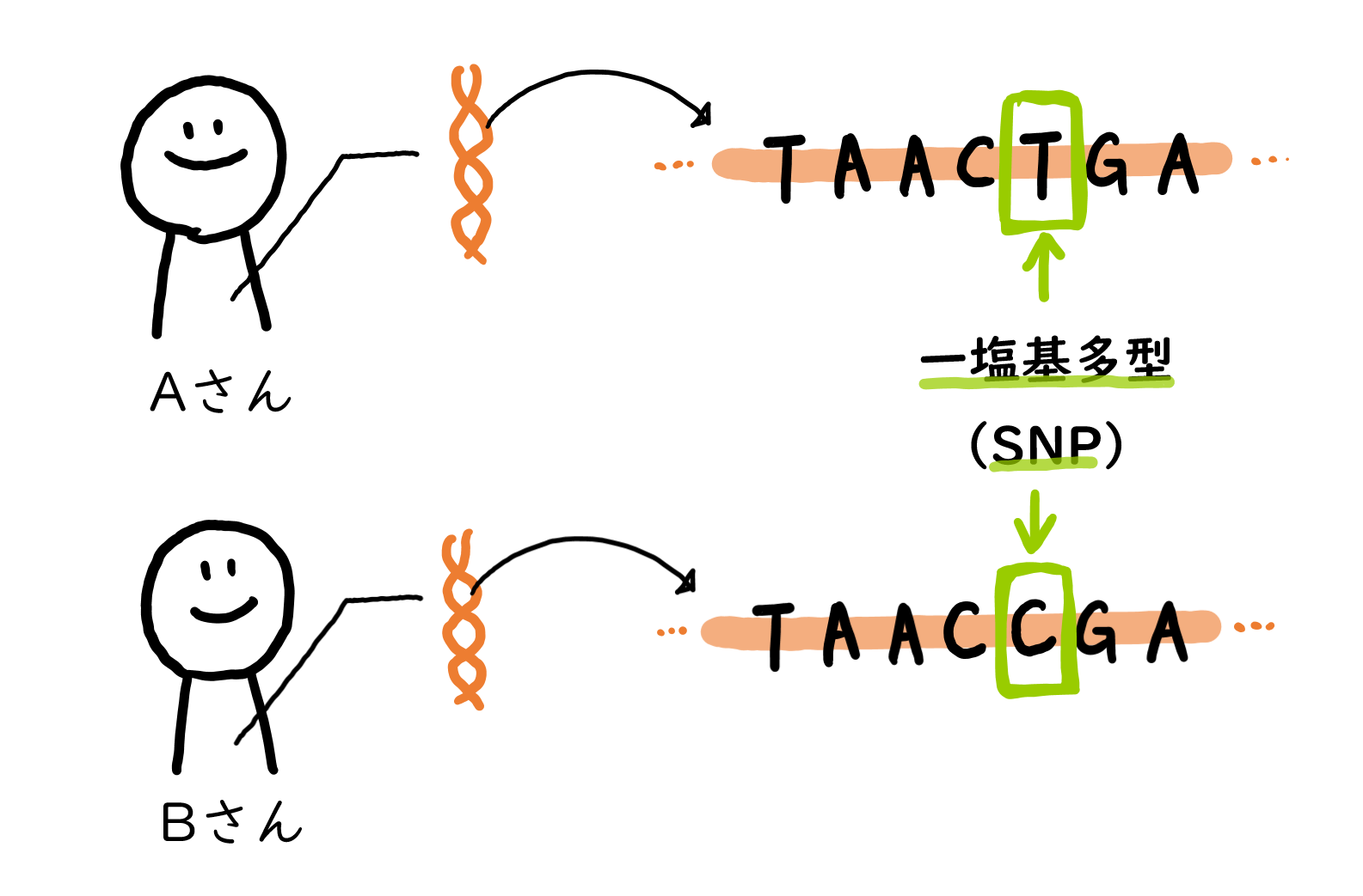 スクリーンショット 181.png