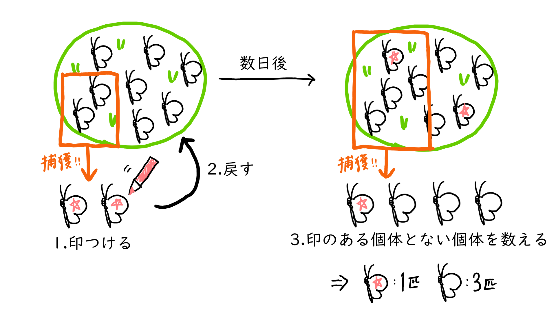 スクリーンショット 245.png