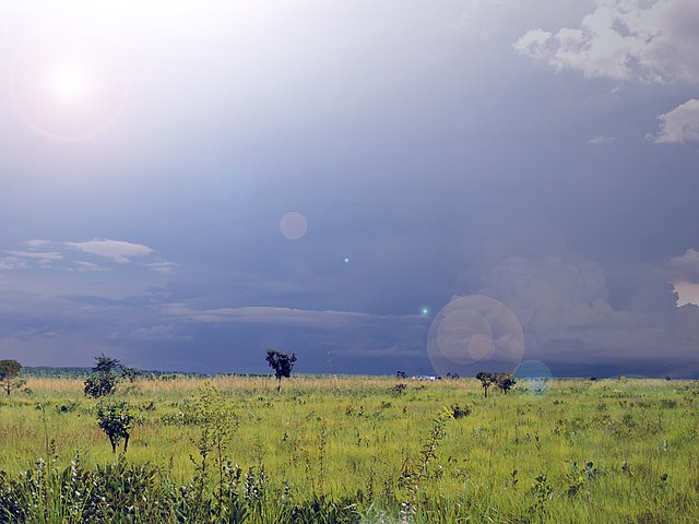 Um_dia_de_quase_chuva_no_Cerrado_goiano.jpg