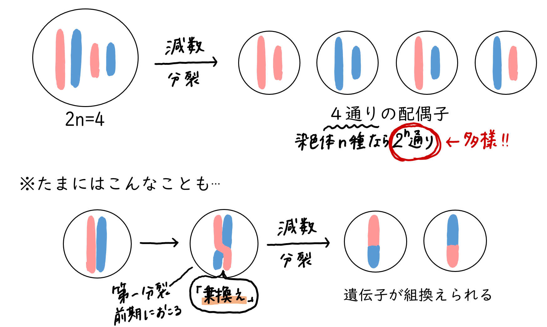 スクリーンショット 207.png