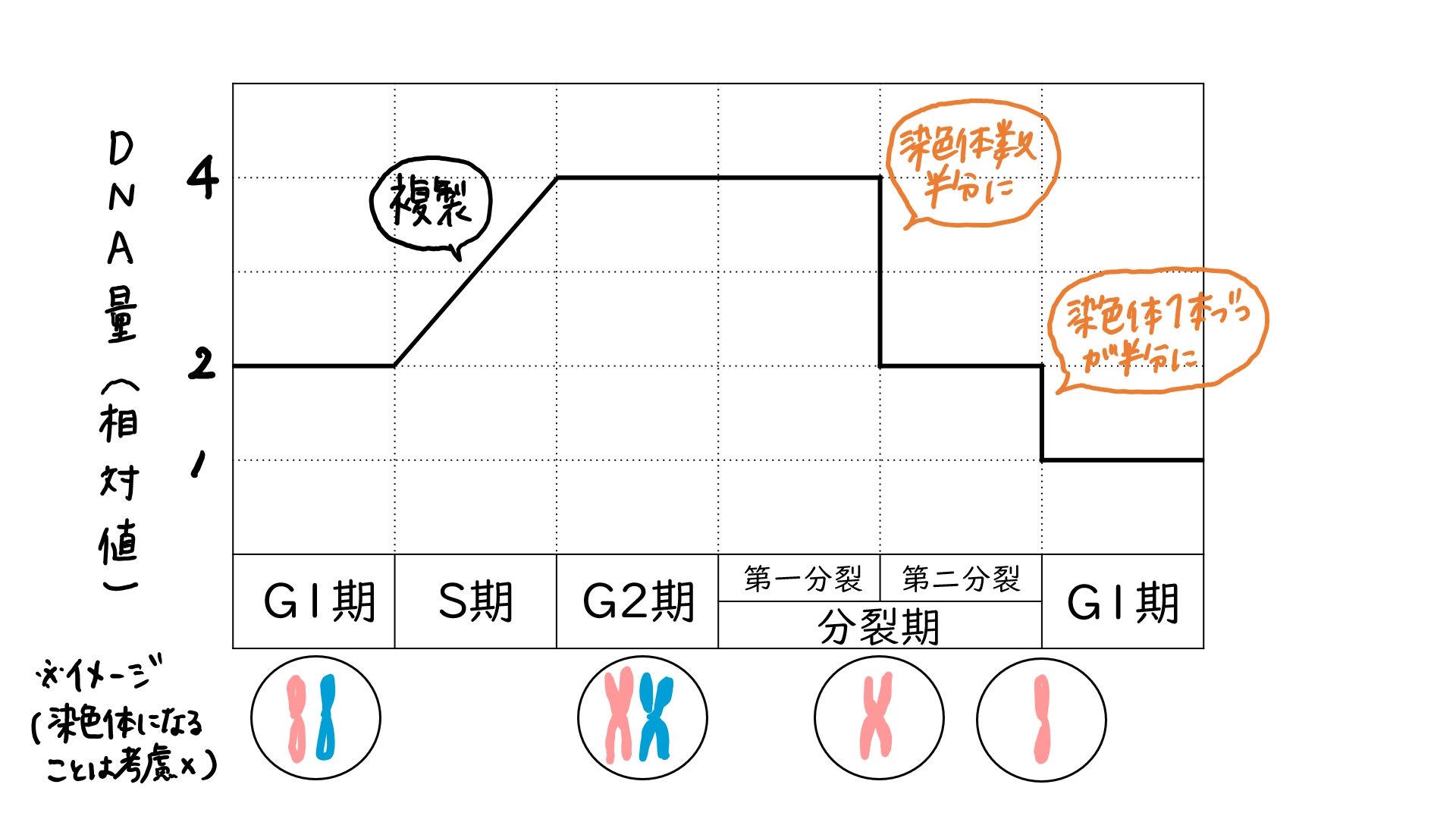 スクリーンショット 215.png