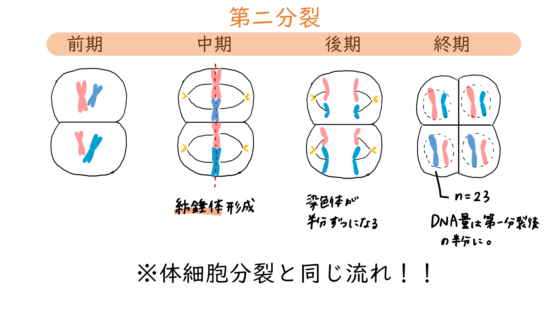 スクリーンショット 209.png