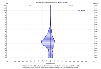 sPopulation by age in 2024 1.jpg