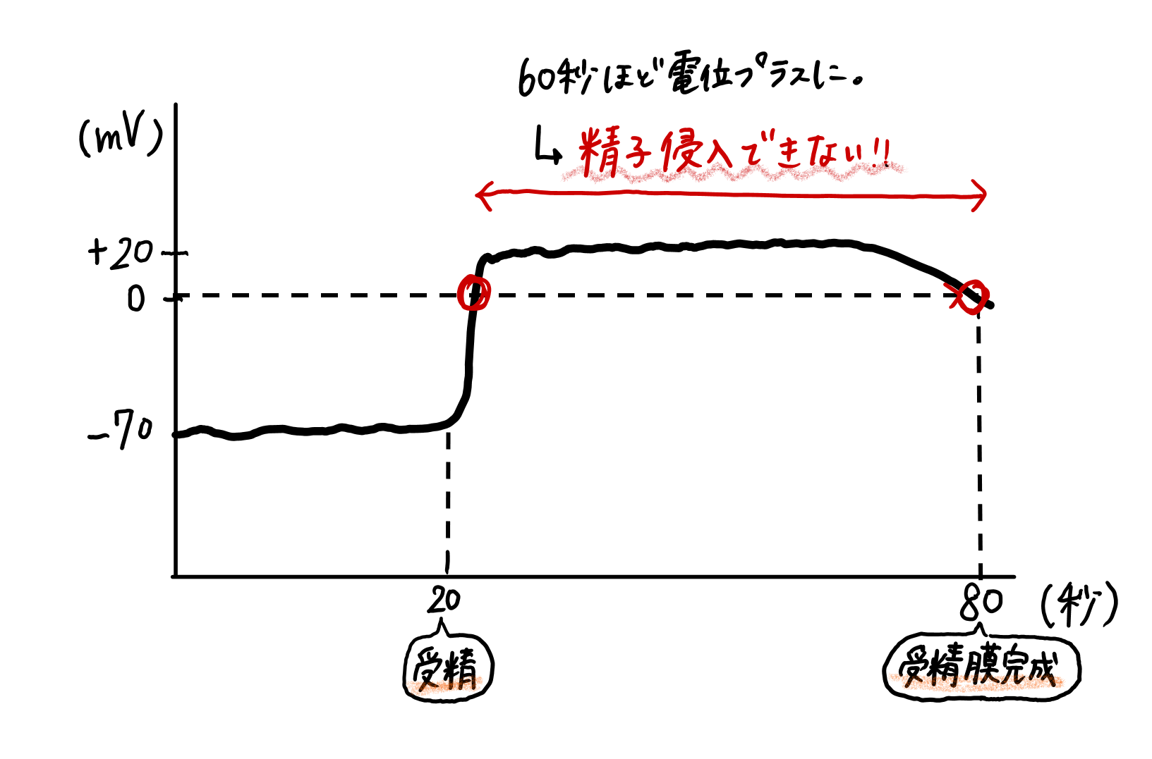 スクリーンショット 221.png