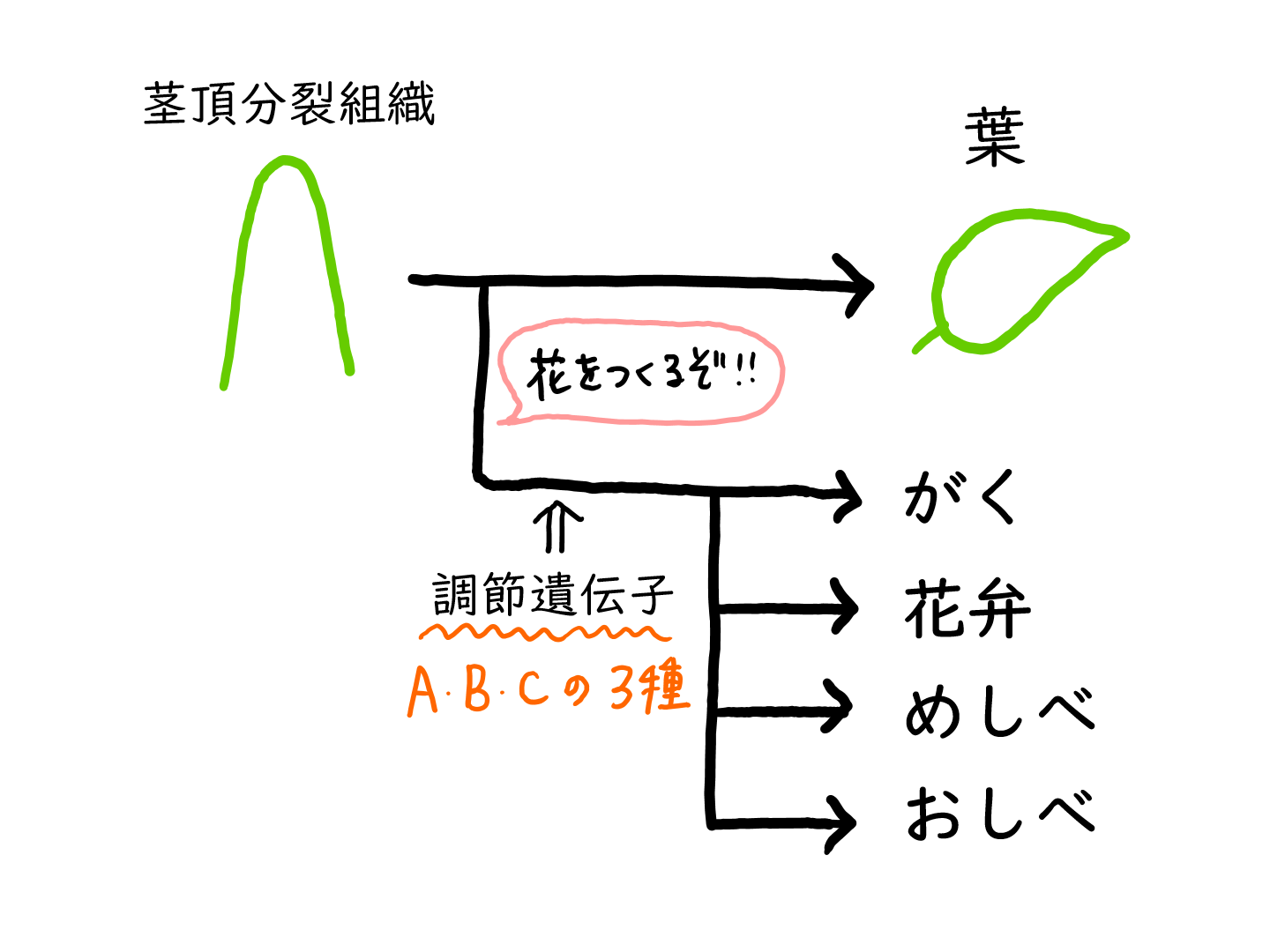 スクリーンショット 223.png