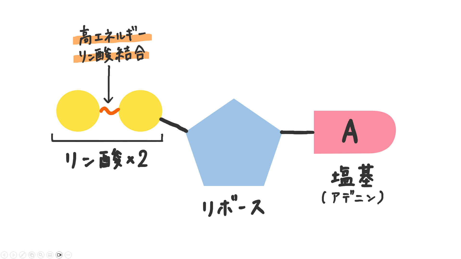 スクリーンショット 20240331 163528.png