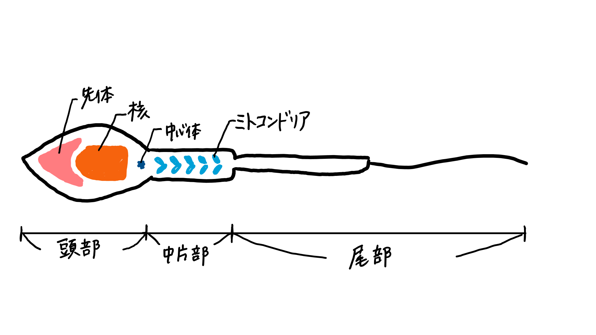 スクリーンショット 237.png