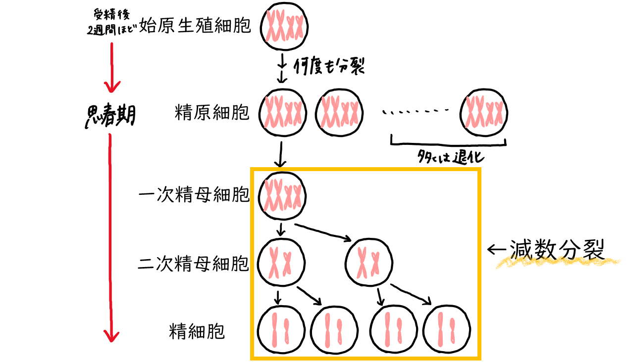 スクリーンショット 3.png