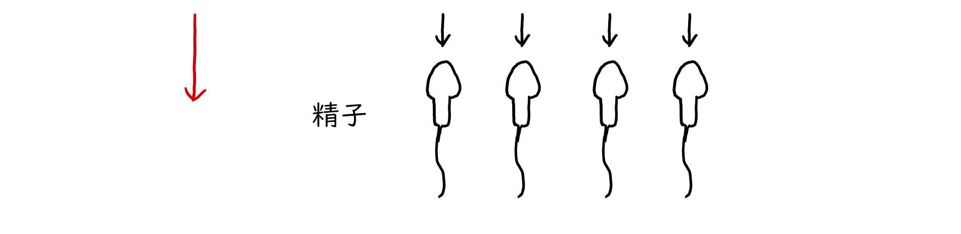 スクリーンショット 236.png