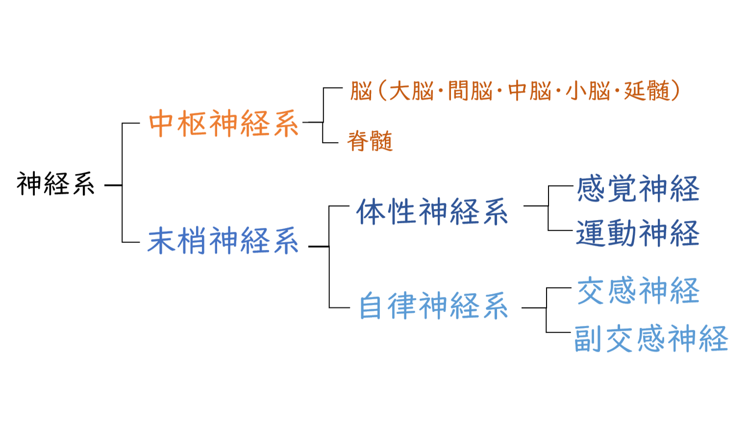 スクリーンショット 8.png