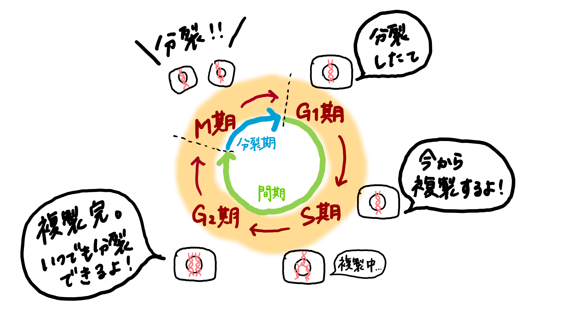 スクリーンショット 256.png