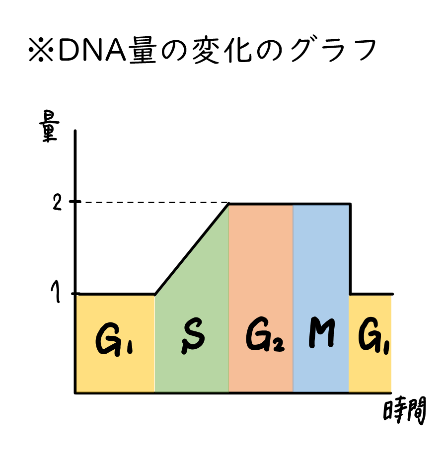 スクリーンショット 255.png