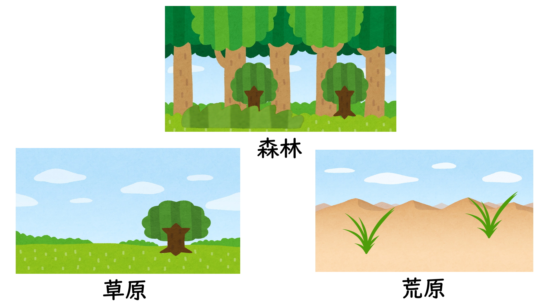 植生 - okke