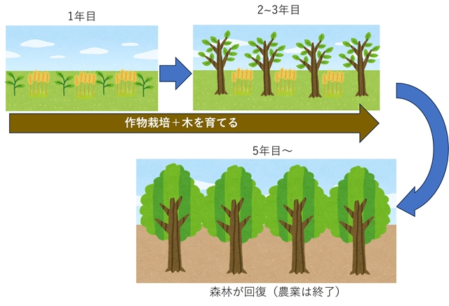 sアグロフォレストリー.jpg