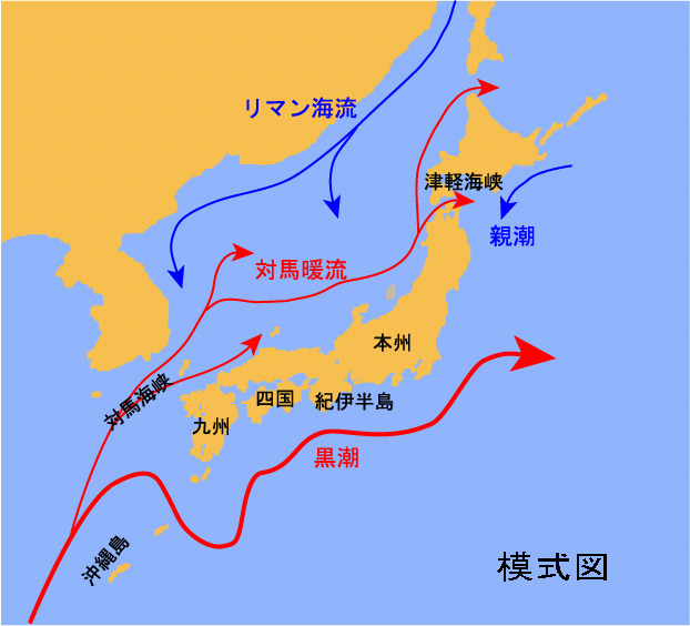 日本の海流.jpg