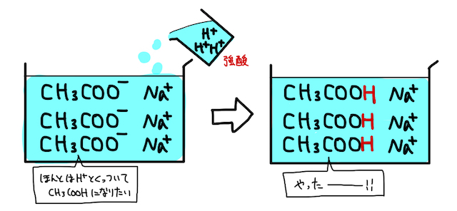 弱酸・弱塩基遊離反応_2.jpeg