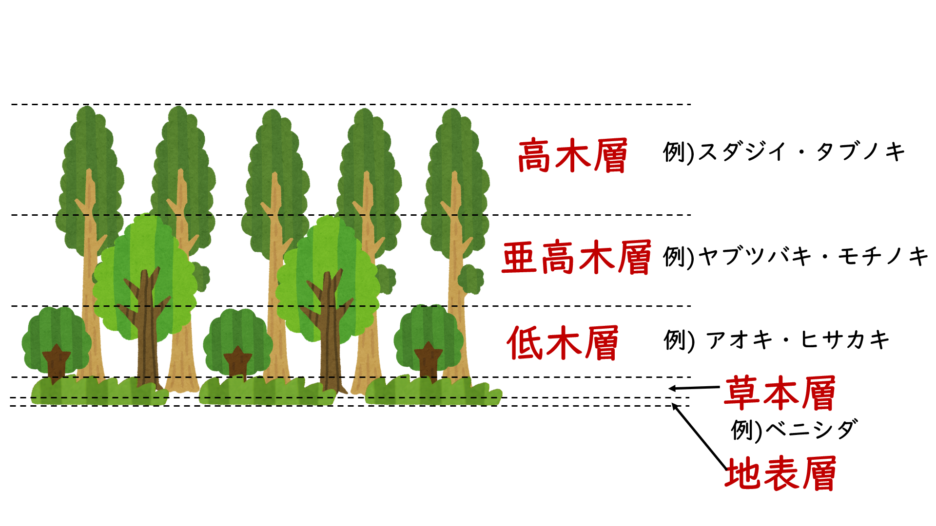 スクリーンショット 41.png