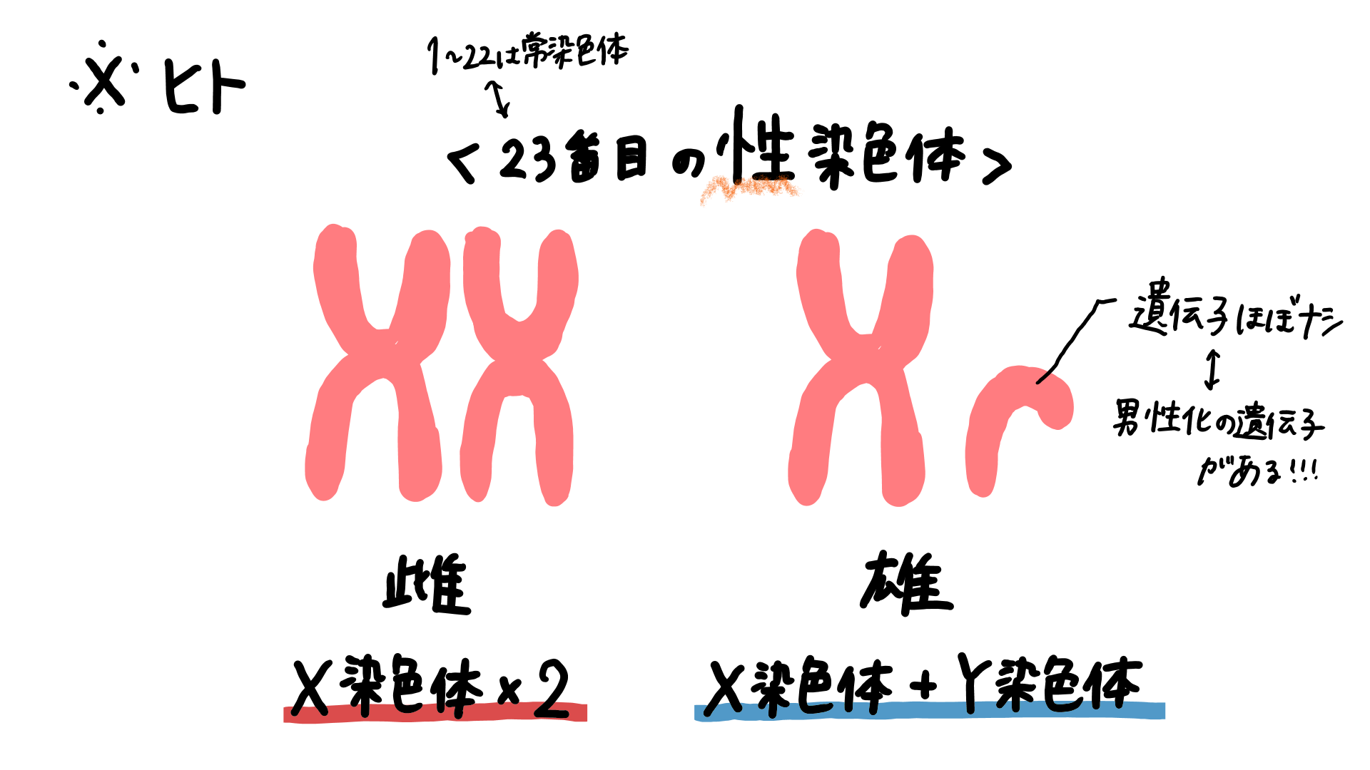 スクリーンショット 220.png