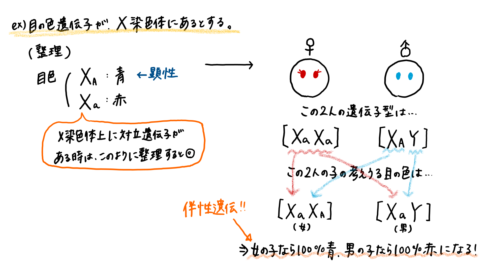 スクリーンショット 219.png