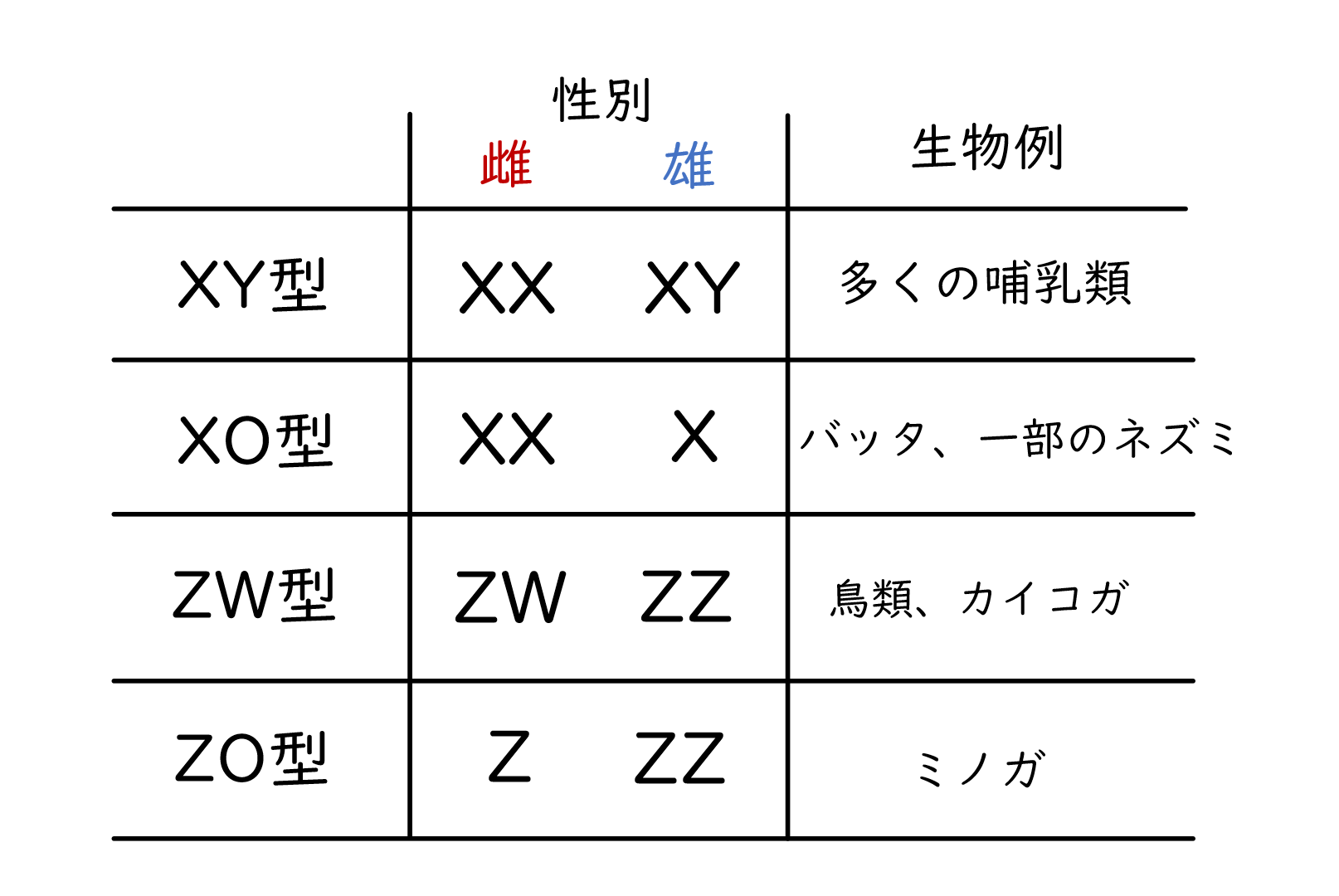 スクリーンショット 218.png