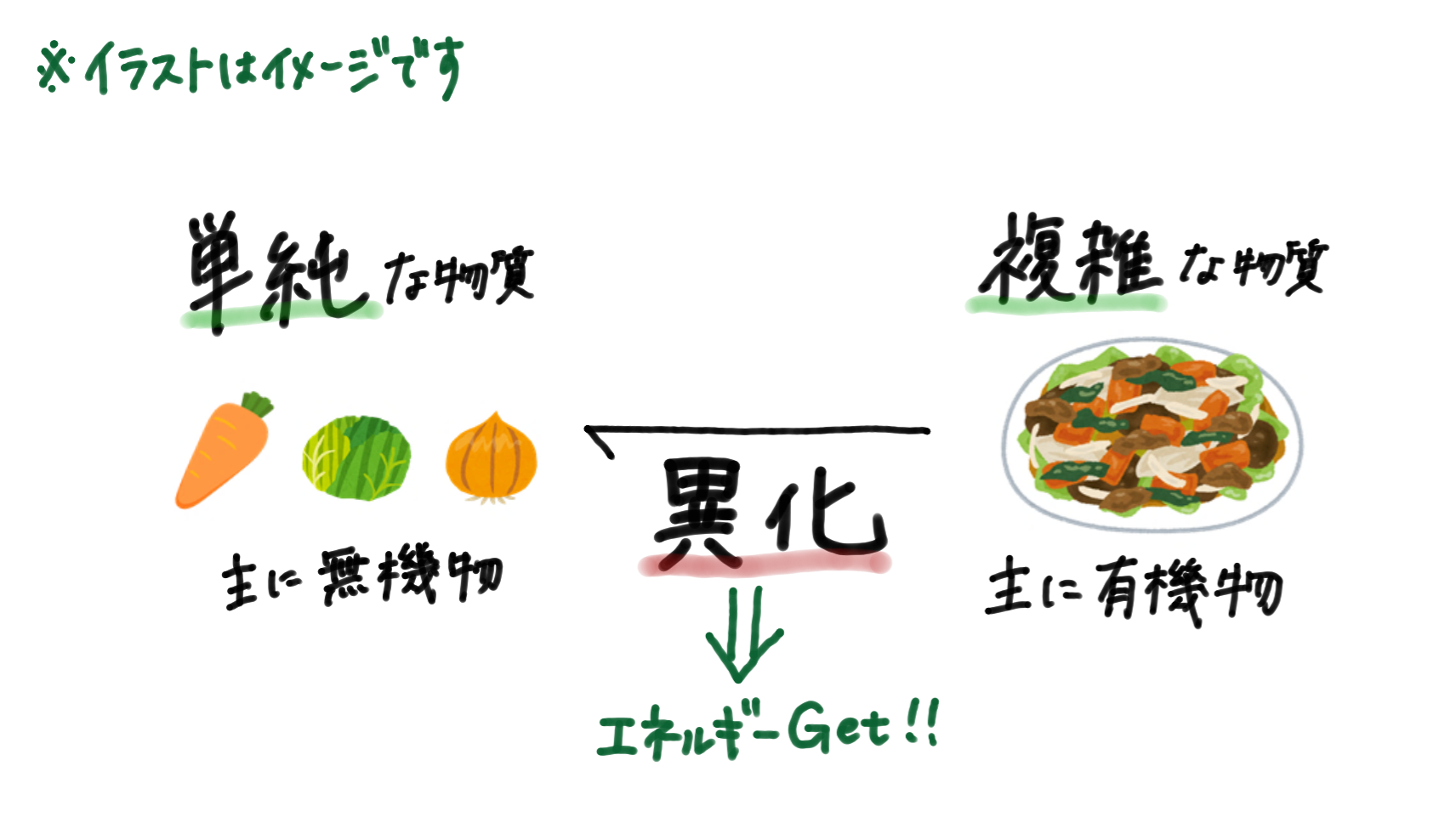 異化 と は