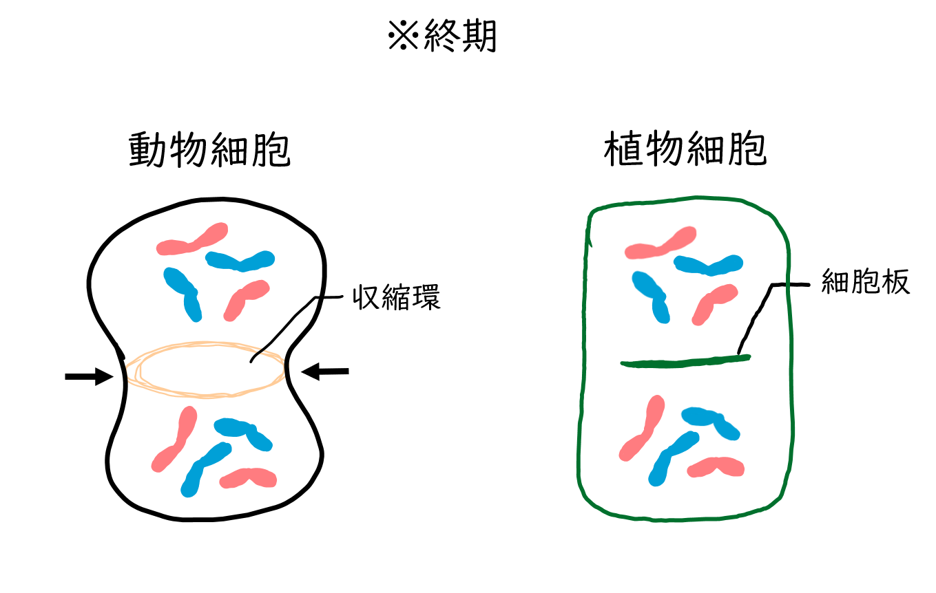 スクリーンショット 205.png