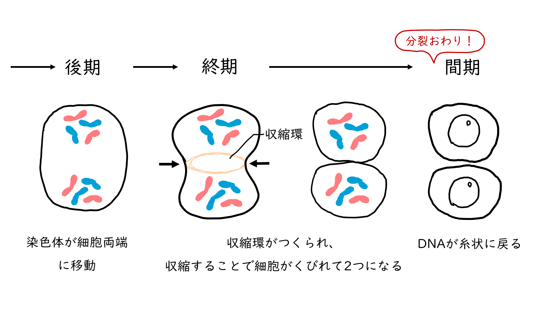 スクリーンショット 197.png