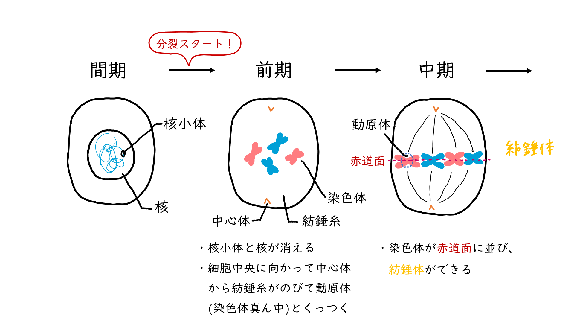 スクリーンショット 198.png