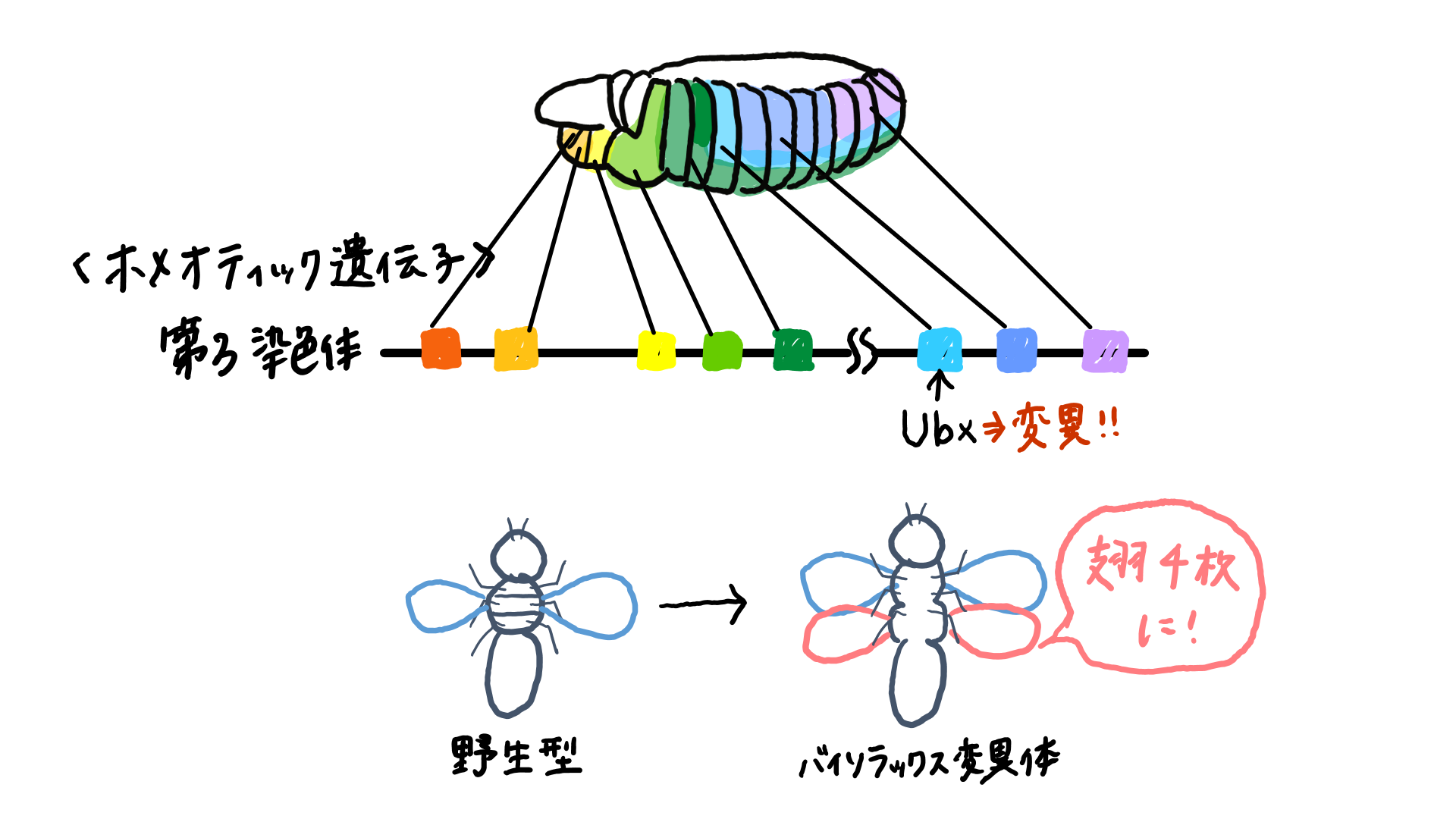 スクリーンショット 385.png