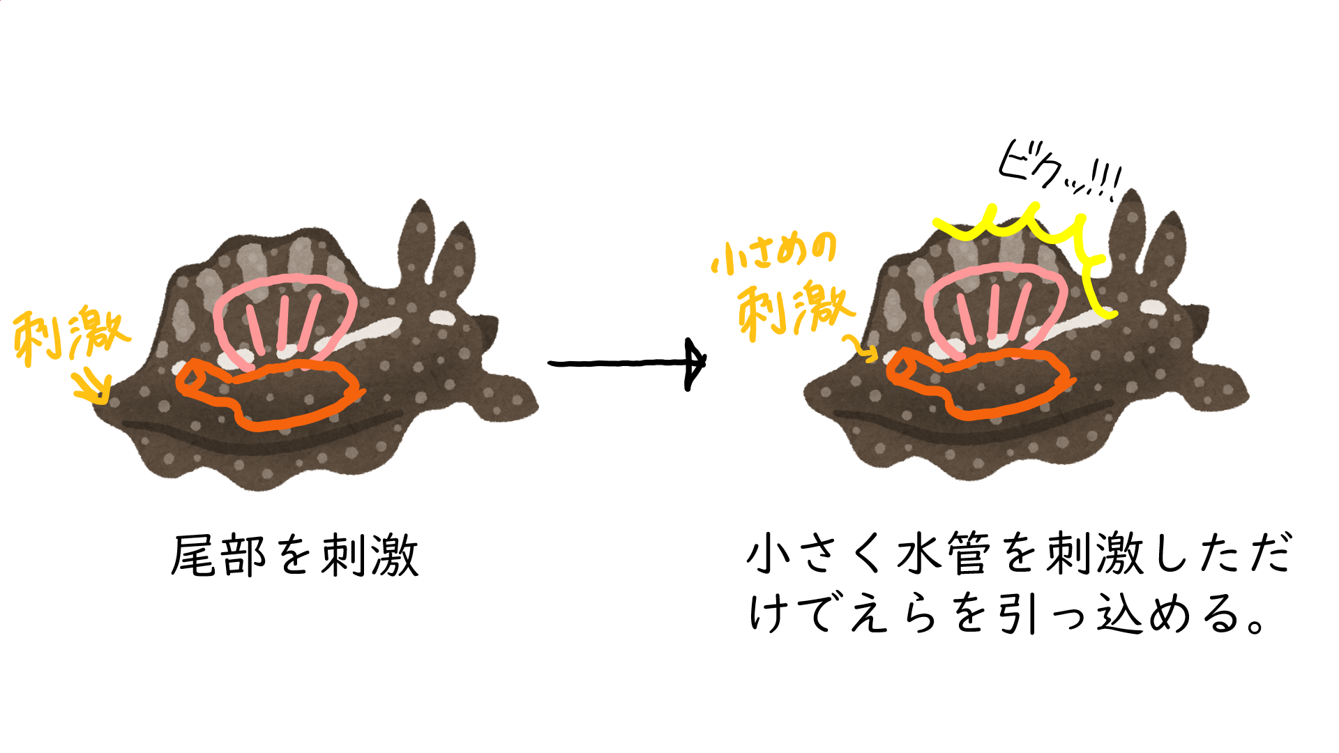 スクリーンショット 284.png