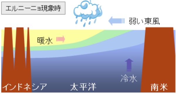 エルニーニョ.jpg