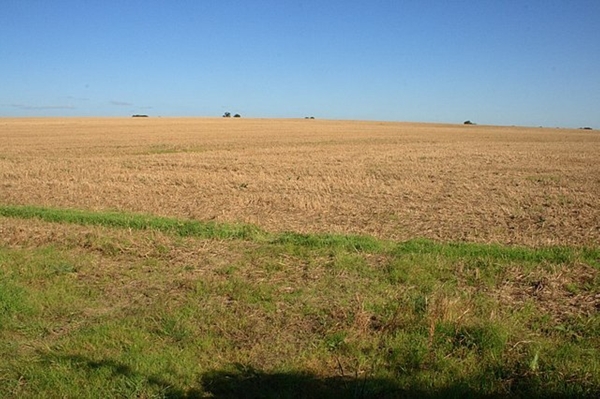 sCorn_Field__geograph.org.uk__974277.jpg