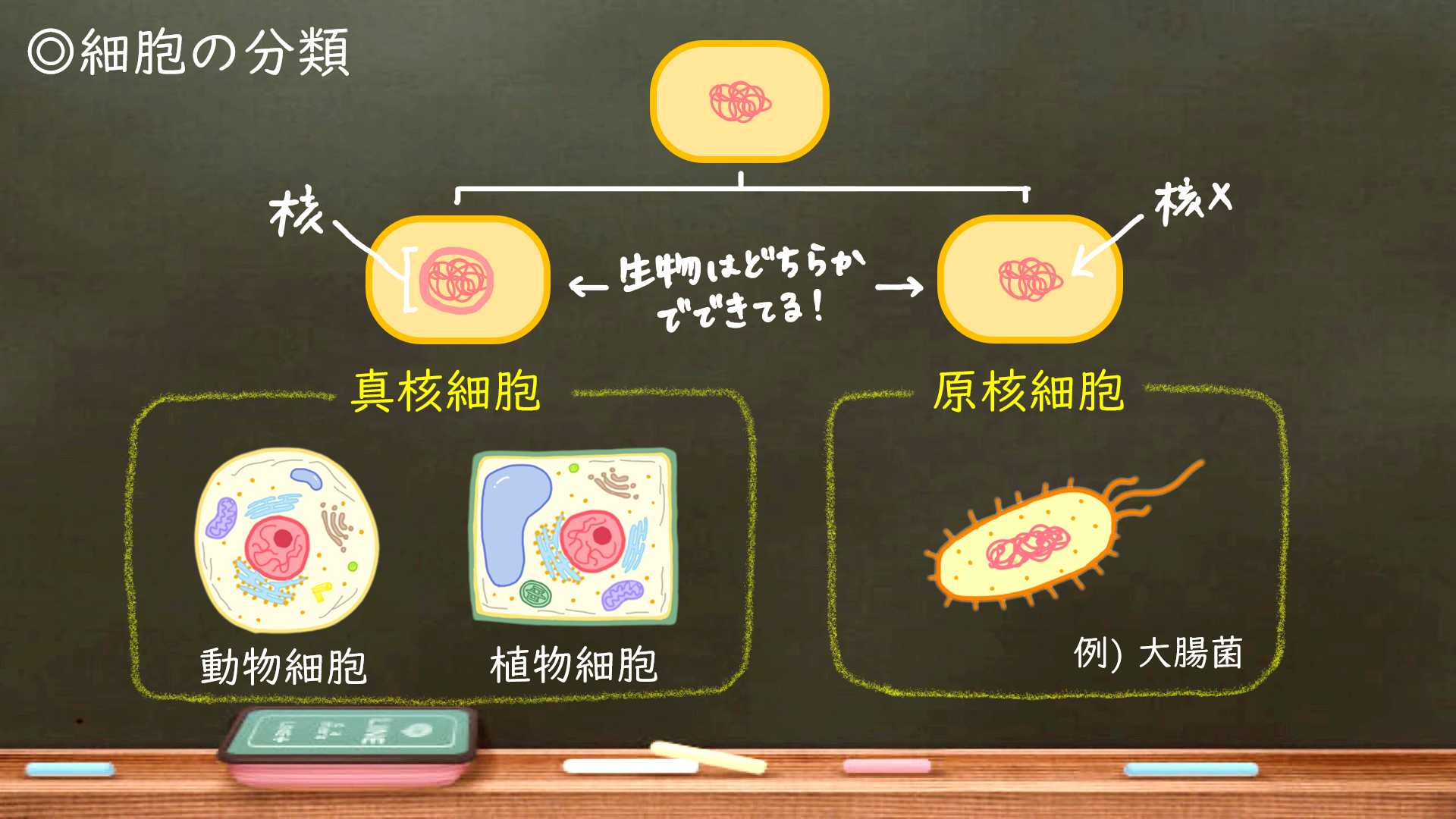 スクリーンショット 445.png