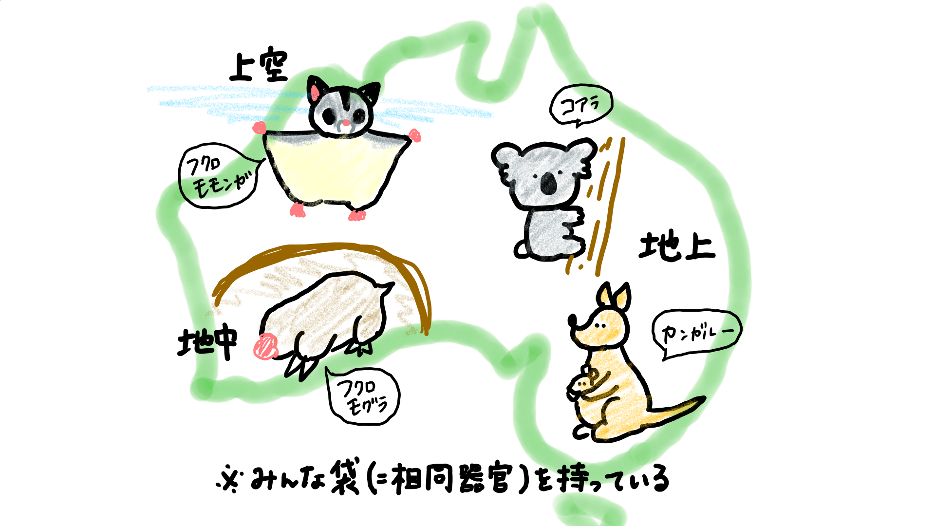 スクリーンショット 260.png