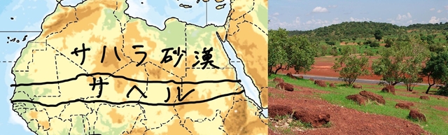sサヘル.jpg