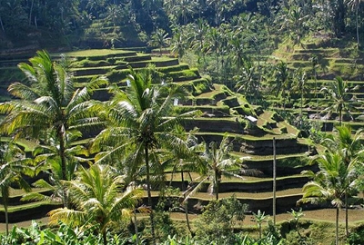 s640pxBali_panorama.jpg