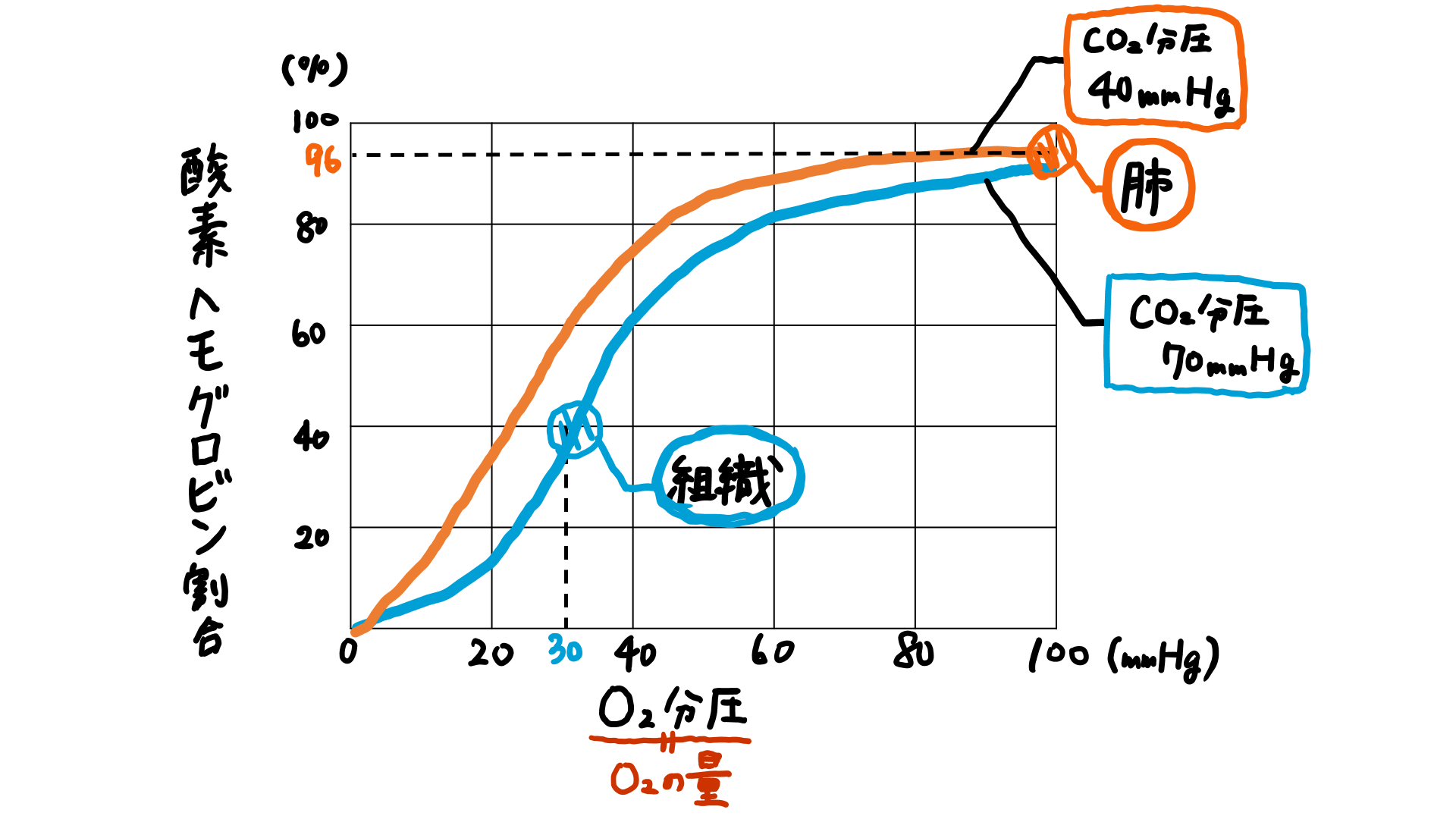 スクリーンショット 300.png