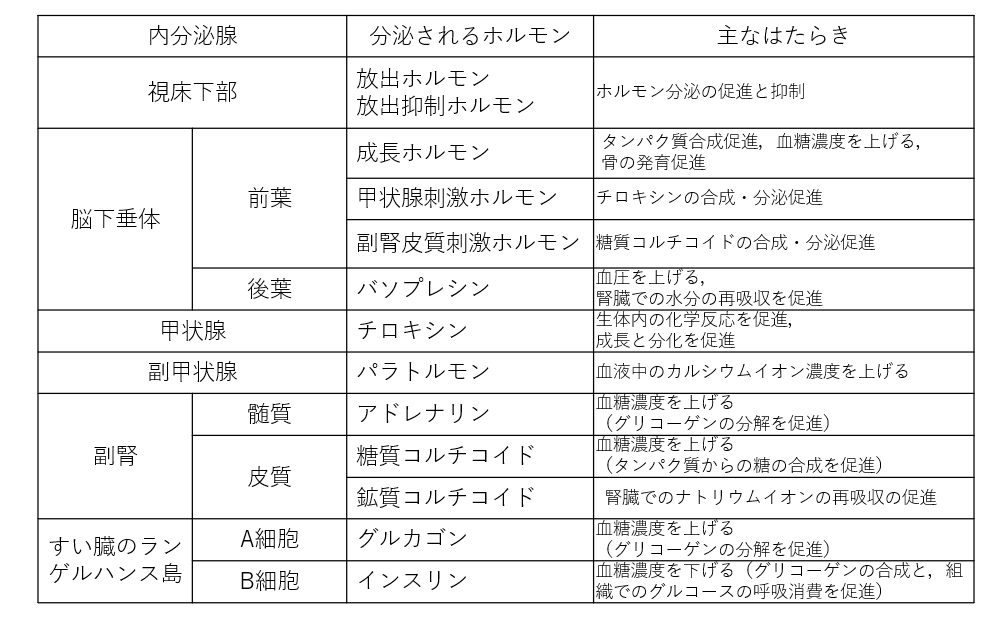 スクリーンショット 59.png