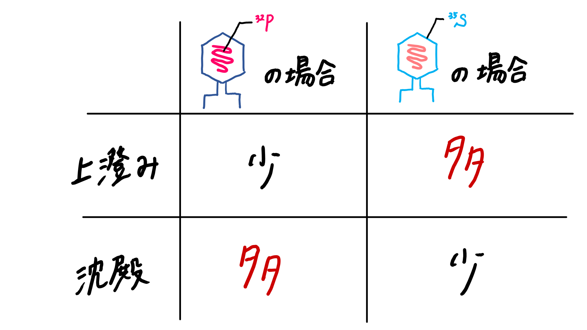 スクリーンショット 264.png