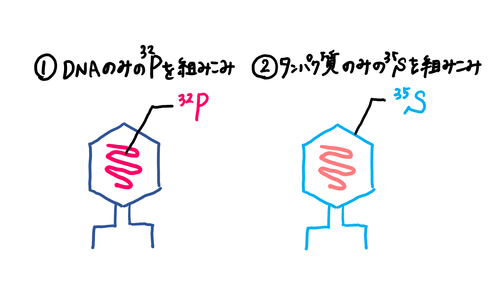 スクリーンショット 262.png