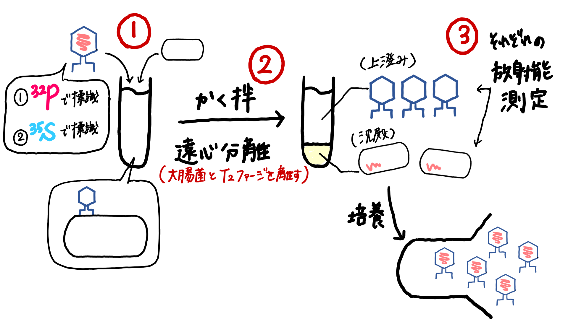 スクリーンショット 263.png