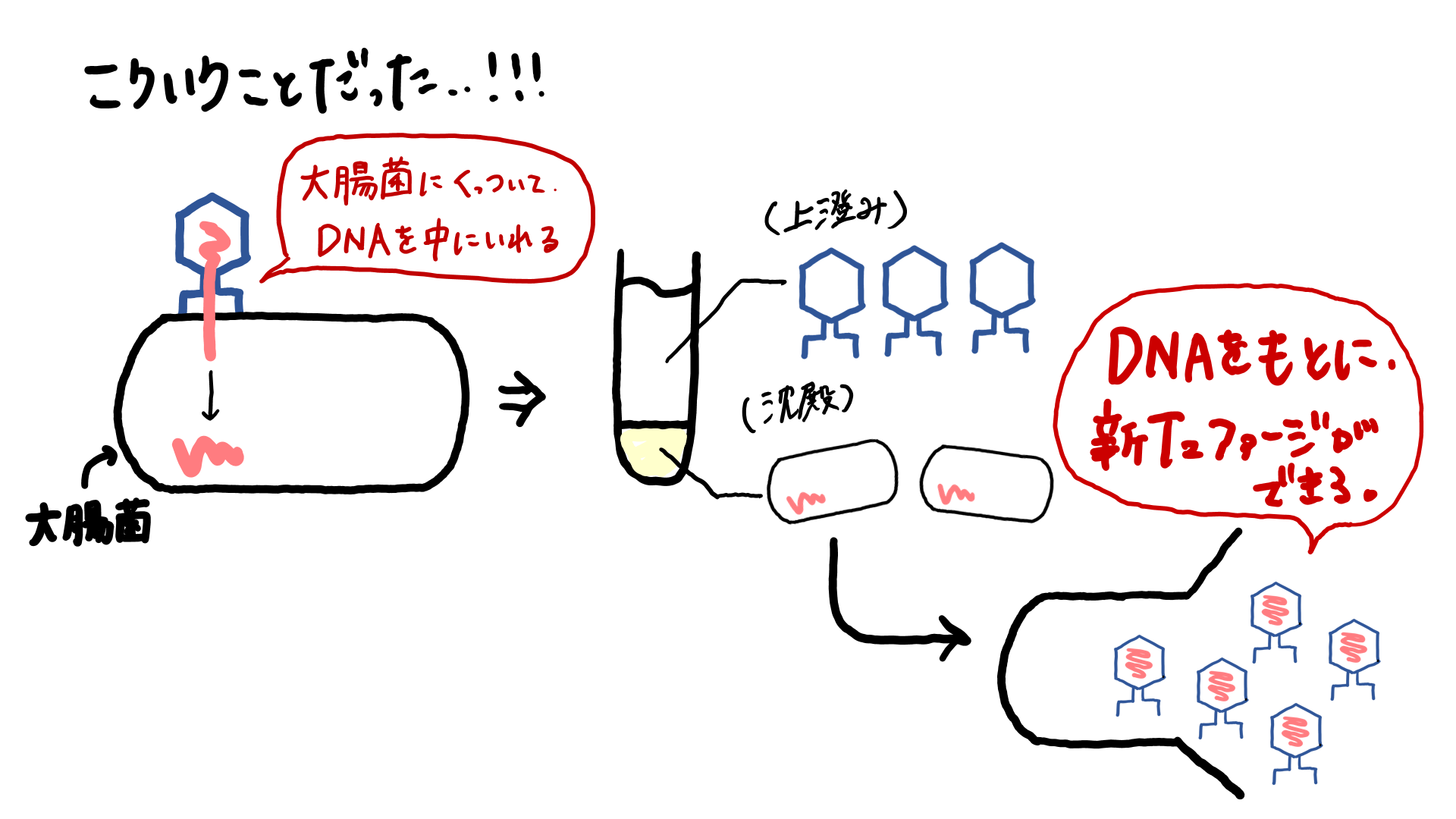 スクリーンショット 265.png