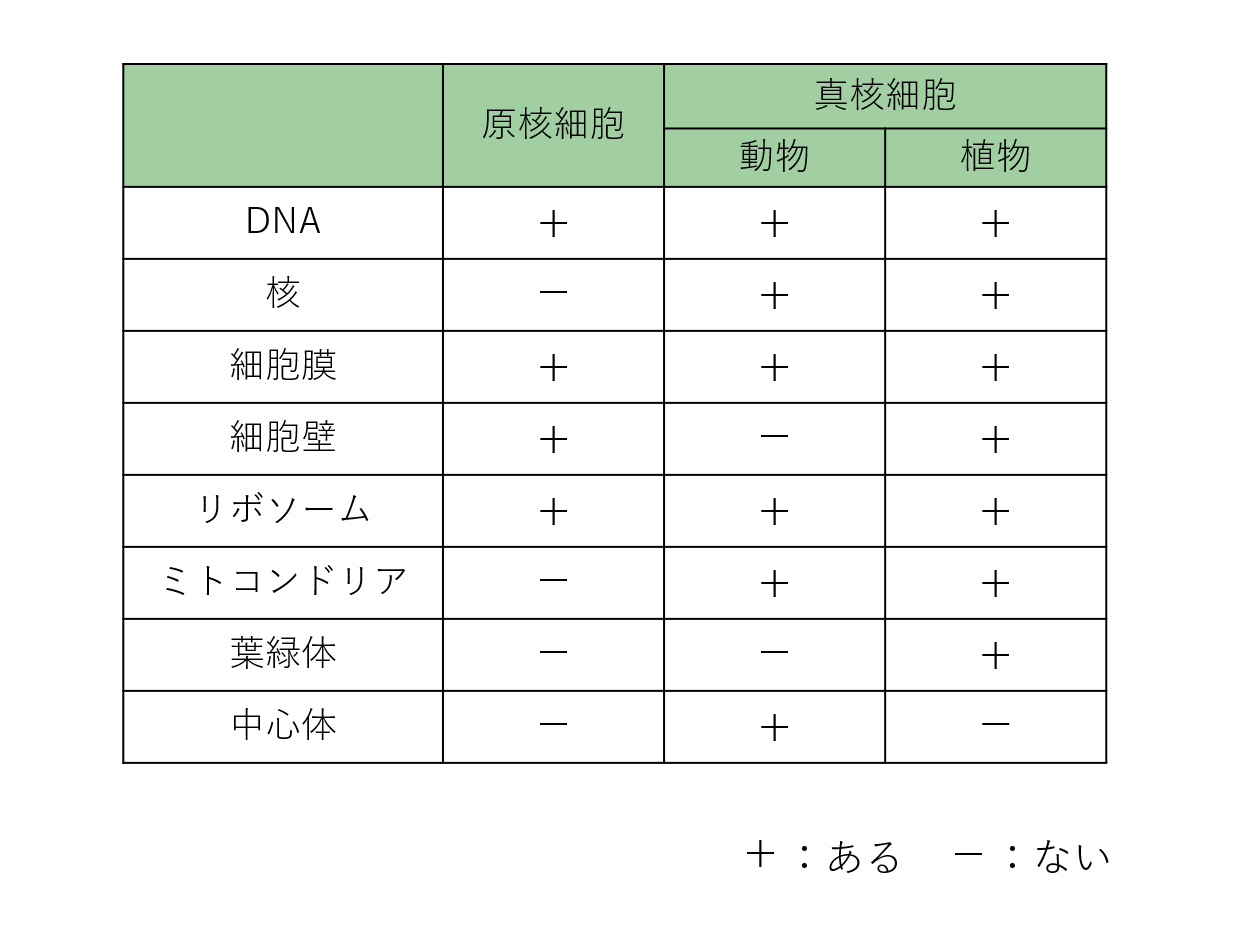 スクリーンショット 169.png