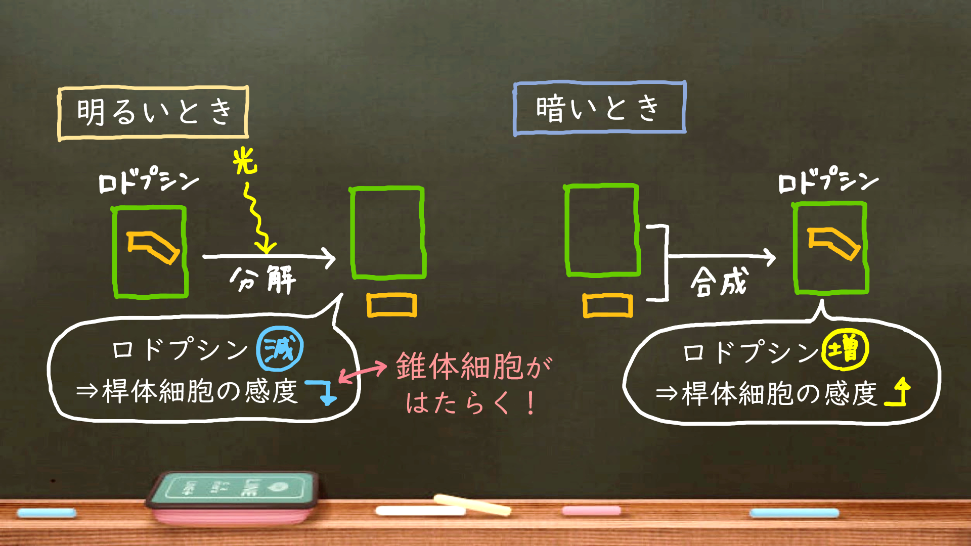 スクリーンショット 461.png