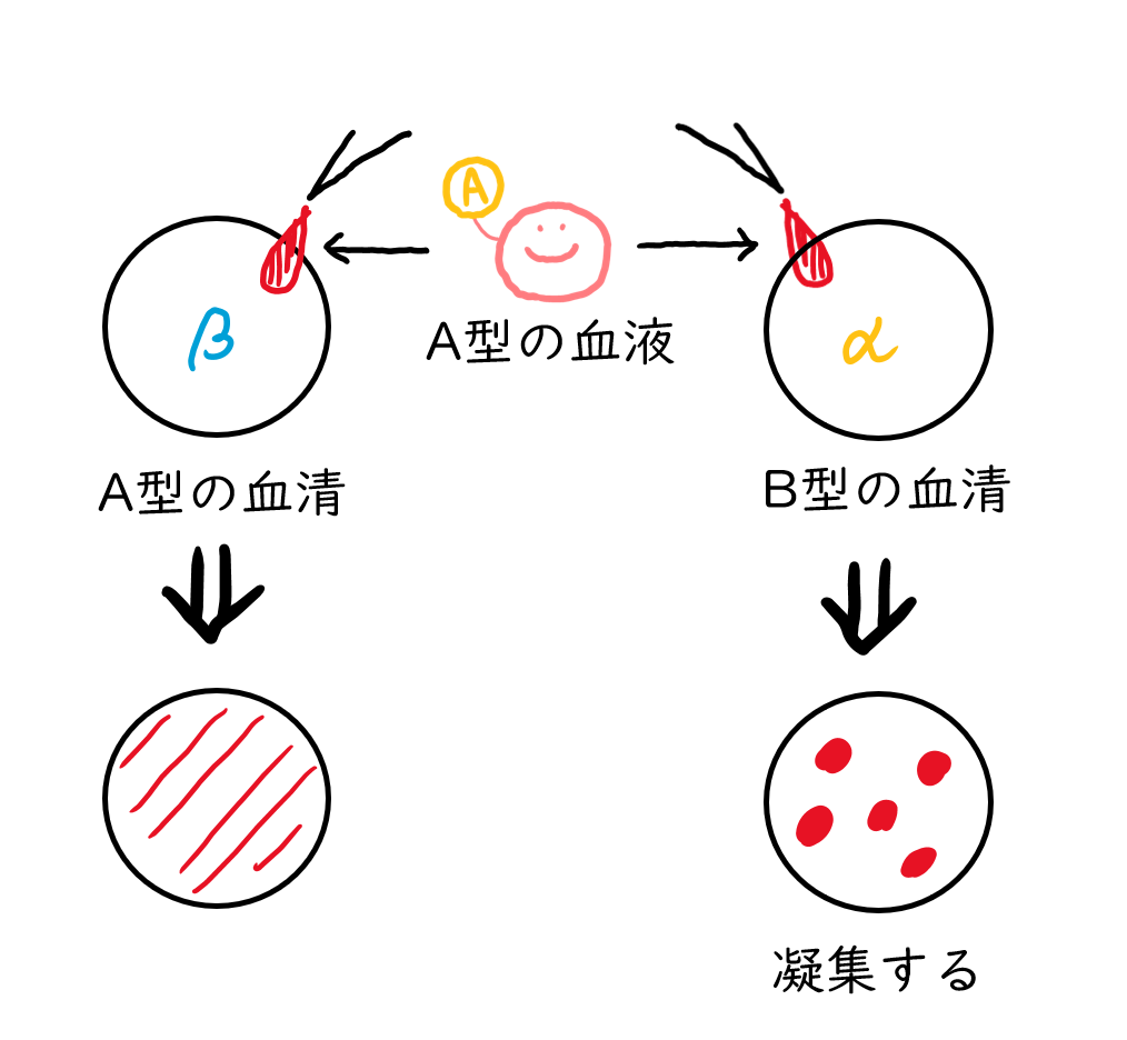 スクリーンショット 175.png